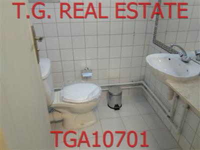TGA10701