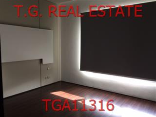 TGA11316