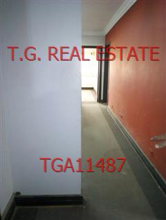 TGA11487