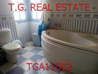 TGA11502