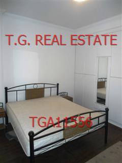 TGA11556