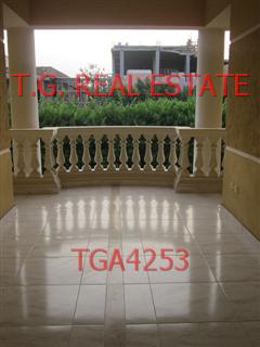 TGA4253