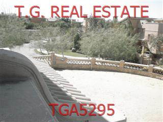 TGA5295