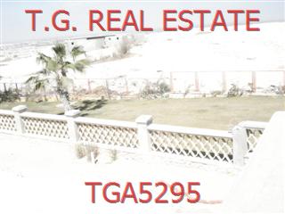 TGA5295