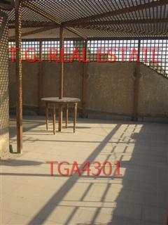 TGA4301